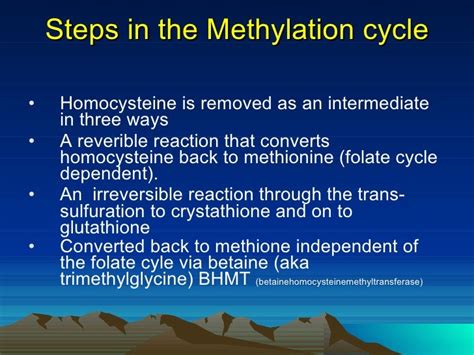 METHYLATION CYCLE AND IT\'S POLYMORPHISM