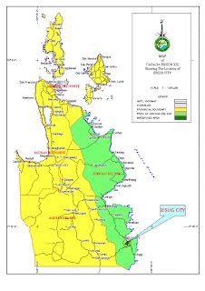 Bisligmaps: Bislig Maps