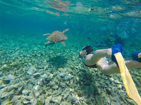 Snorkeling at Caye Caulker - Kated