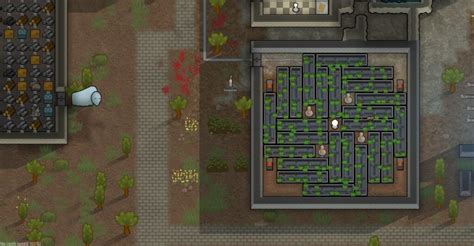 Best Rimworld Hydroponics Layout - The Centurion Report