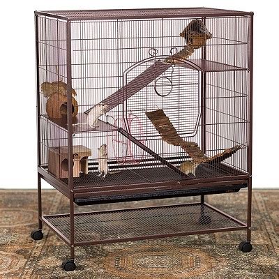 Best Pet Rat Cages For Sale On The Market [REVIEWS + GUIDE]