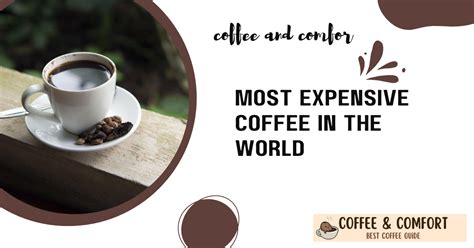 Most Expensive Coffee In The World - CoffeeAndComfort