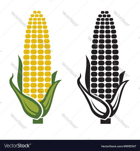 Corn cob icons Royalty Free Vector Image - VectorStock