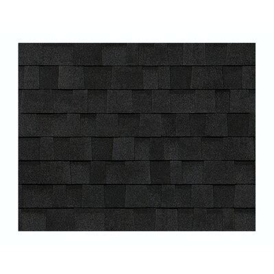 Owens Corning TruDefinition WeatherGuard-HP32.8-sq ft Onyx Black ...