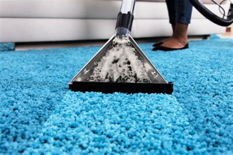 How to Steam Clean Carpeting - Non-toxic, natural, DIY cleaning