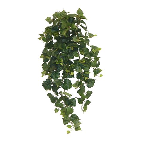 Ivy Hanging Plant | Wayfair