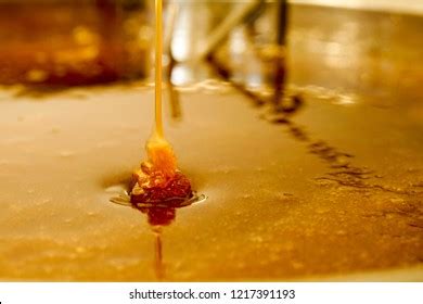 Honey Extraction Process Photos and Images | Shutterstock