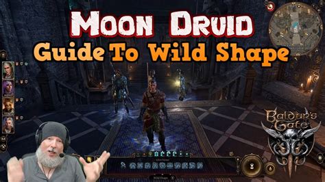 Moon Druid Guide On How To Use Wild Shape In Baldur's Gate 3 - YouTube