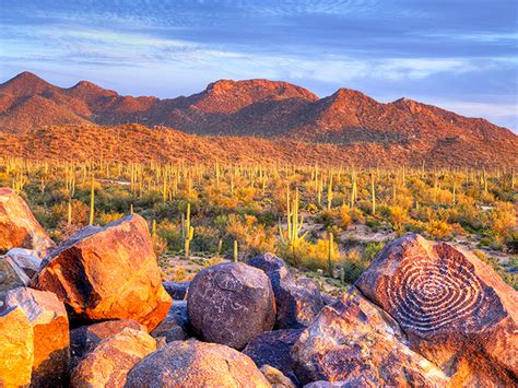 See America’s Largest Cacti at Saguaro National Park in Arizona – Trips To Discover