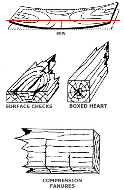 wood-defects - Davids Timber