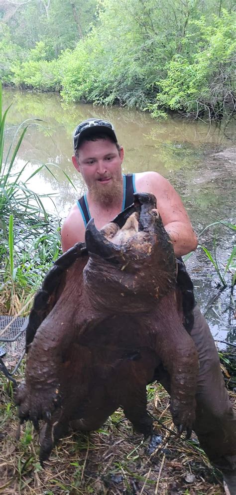 Texas fisherman reels in massive alligator snapping turtle • Air Gun Maniac