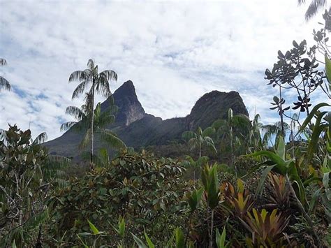 Pico da Neblina - Serra do Imeri, Amazonas