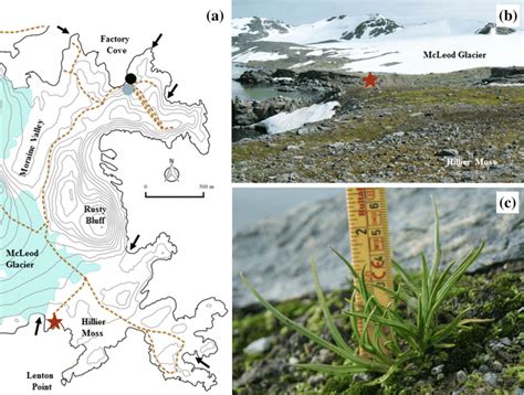 Location of the occurrence P. annua at Signy Island. a Map of Signy... | Download Scientific Diagram