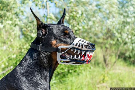 Scary Dogs Breeds | Unnerving Images for Your All