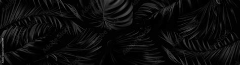 Vector horizontal banner with silver and black tropical leaves on dark background. Best as web ...