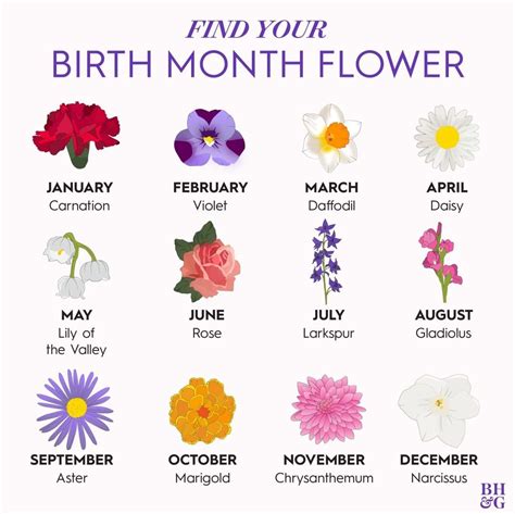 June Birth Month Flower Tattoos - Best Tattoo Ideas