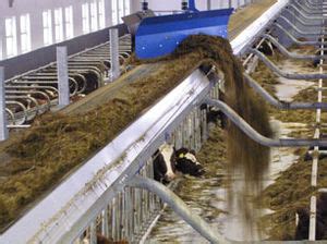 Cow feeding equipement - All the agricultural manufacturers