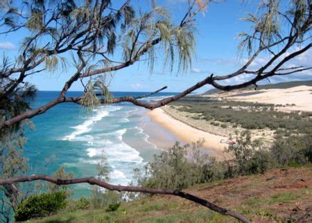 Fraser Island - Wikitravel