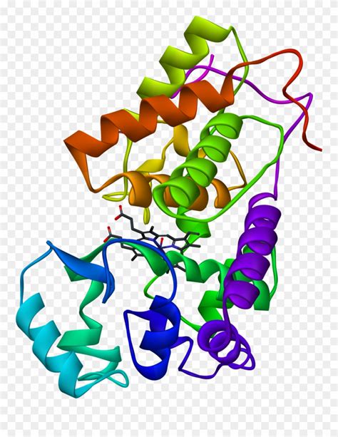 Horseradish Peroxidase Clipart (#387073) - PinClipart