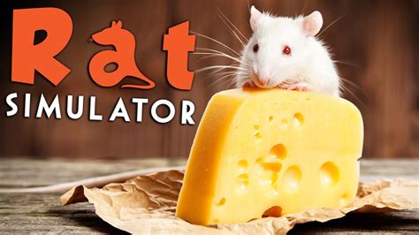 Rat Simulator - Eat Cheese, Infect People? - Rat Simulator Gameplay ...