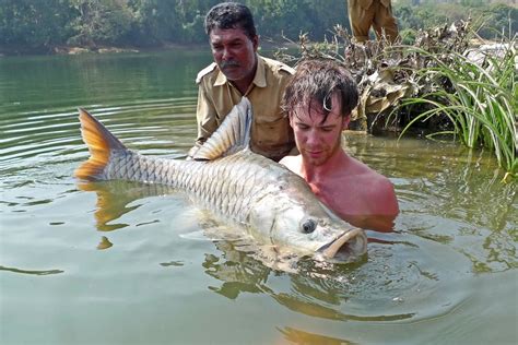 Mahseer conference outlines new strategies for conservation of iconic fish | Bournemouth University