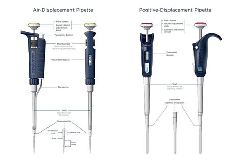 Which Correctly Describes The Function Of A Micropipette at Jessica Durham blog