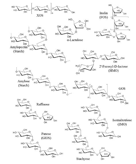 Chemical structures of the different prebiotics families. FOS:... | Download Scientific Diagram