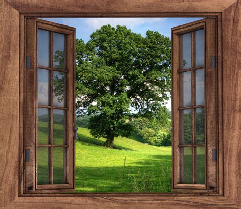 Window Tree Landscape View Free Stock Photo - Public Domain Pictures