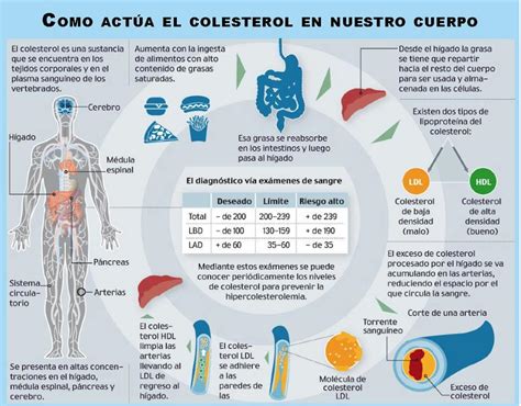 Remedios naturales para bajar el colesterol