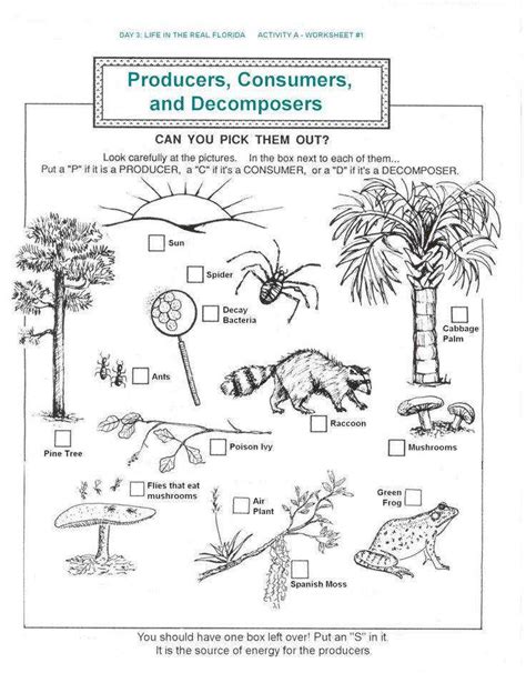 Ecosystems Worksheet s Beatlesblogcarnival on | Biology worksheet, Science worksheets, Food web ...