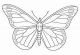 Butterfly And Flower Coloring Page  Free Printable Pages For Kids sketch template