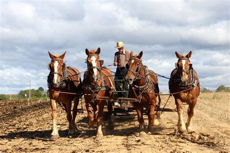 Amish Country farming Pennsylvania - Worldwide Destination Photography & Insights