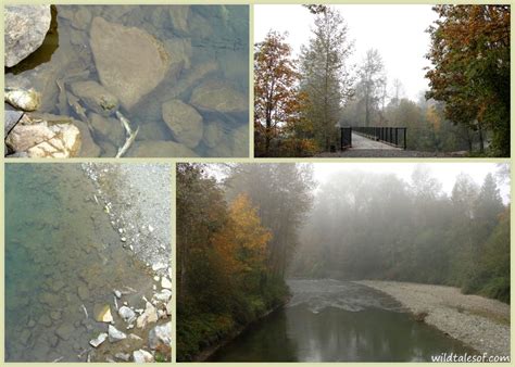 Built-in Adventures: Experiencing Fall on the Snoqualmie Valley Trail in Carnation, WA ...