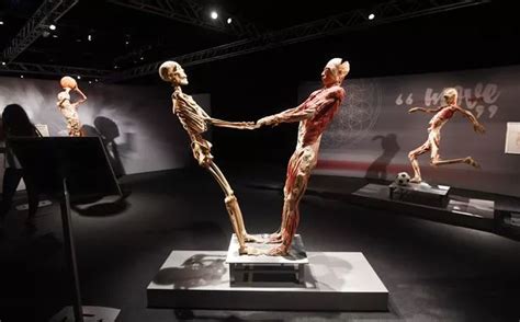 Couples on first dates in Birmingham are going to see real human bodies ...