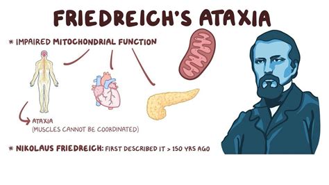 MEDICAL SCHOOL: Friedreich's ataxia,what to know? | Friedreich's ataxia, Medical school, Medical