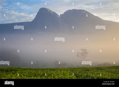 Mount Mulanje Massif, the tallest mountain in south central Africa ...