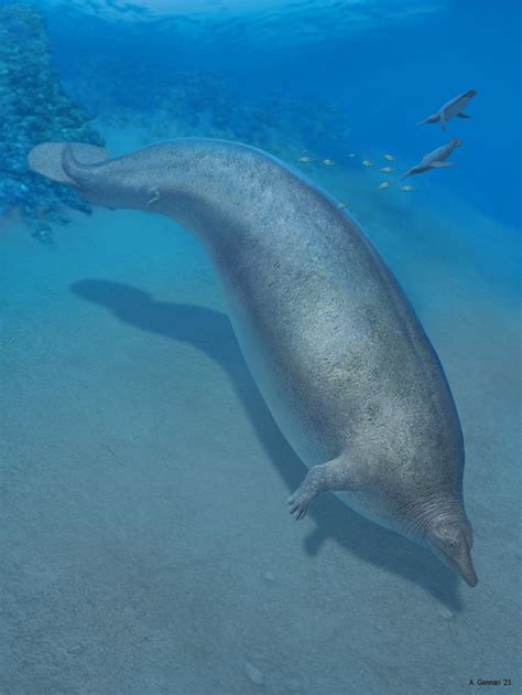 Heaviest animal ever? Scientists discover massive ancient whale | South China Morning Post