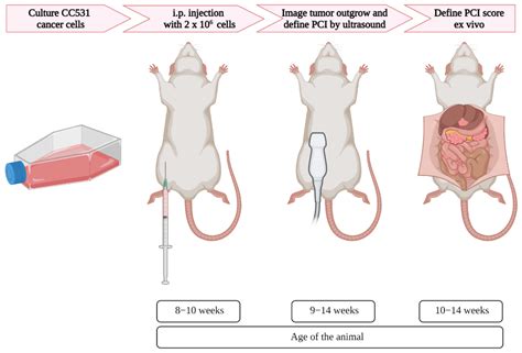 Biomedicines | Free Full-Text | Non-Invasive Imaging and Scoring of Peritoneal Metastases in ...