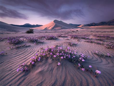 How landscape photographer Erin Babnik captures epic photos without leaving a trace ...