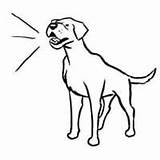 Dog Barking Drawing Sketch Coloring Page sketch template
