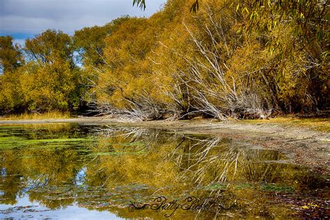 Mud lake Idaho | Pattys-photos | Flickr