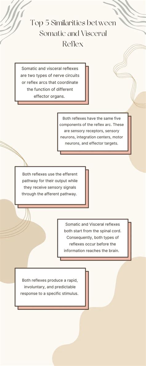 Differences And Similarities Between Somatic And Visceral Reflex