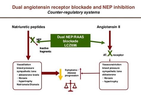 Angiotensin Receptor Neprilysin + Valsartan