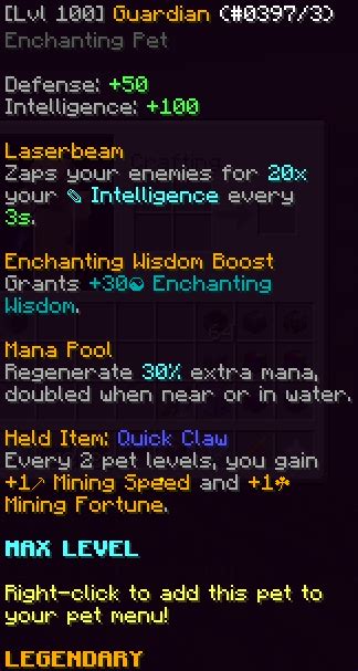 Pets - Warning/confirmation to put pet items on pets. | Hypixel Forums