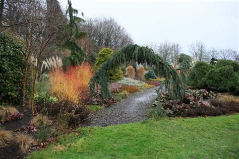 The Bressingham Gardens winter England by Sergey Karepanov at Coroflot.com