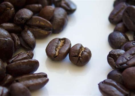 What is Robusta Coffee? Robusta vs Arabica: 12 Differences | EnjoyJava