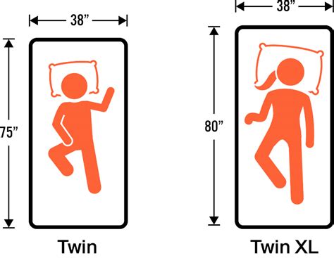 Twin vs Twin XL - Complete Mattress Size Guide Comparison