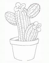 Cactus Coloring Pages Free Printable PDF sketch template