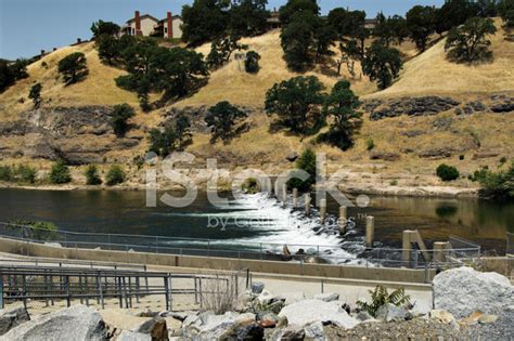 Salmon Fish Ladder Stock Photo | Royalty-Free | FreeImages