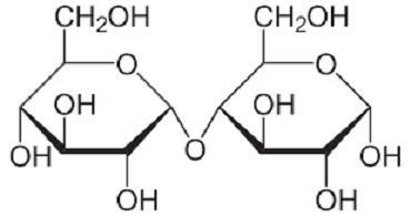 Maltose at Rs 375/kg | in Mumbai | ID: 11667351712